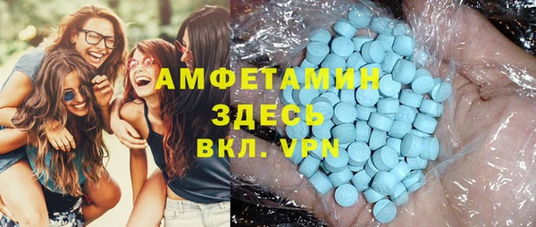 прущие грибы Тавда