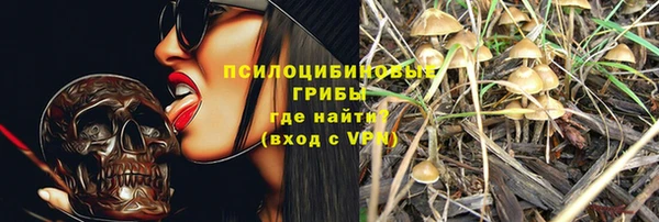 амф Верея