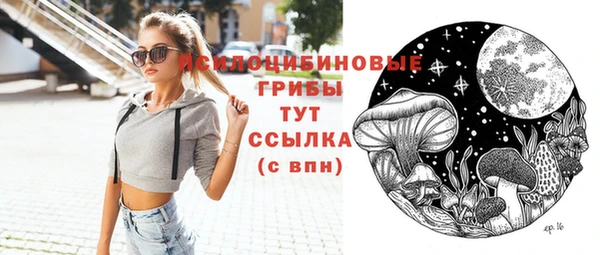 амф Верея