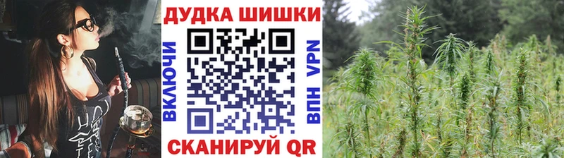 Каннабис планчик  Новоульяновск 